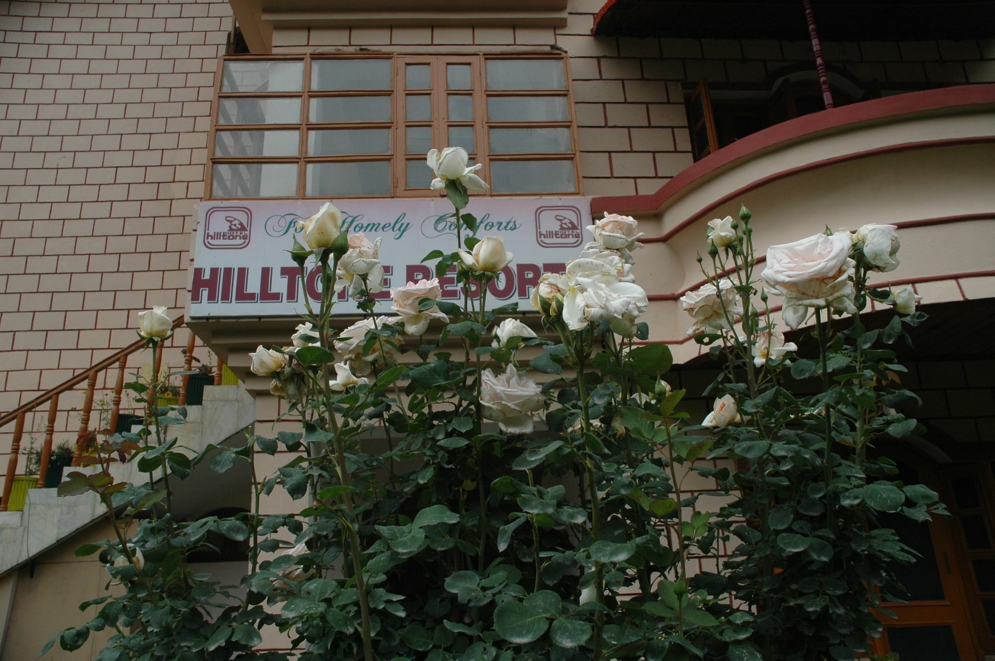 Hilltone Resorts & Spa Manali  Luaran gambar